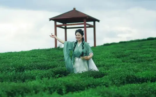 上海崇明东滩湿地：候鸟天堂里的观鸟胜地，错过再等一年！🦆