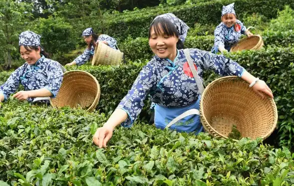 上海徐汇滨江遛狗：宠物友好夜间散步的新地标，铲屎官们集体沸腾了！🐕