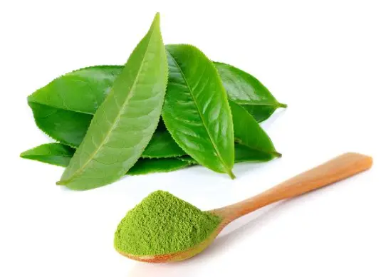 上海景点打卡网推荐-同城聚会-品茶：打开城市微度假的隐藏玩法 🌟